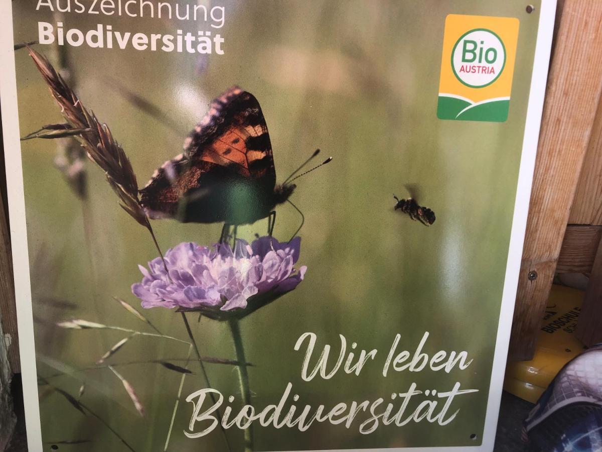 Biohof Sauschneider Lägenhet Sankt Margarethen im Lungau Exteriör bild