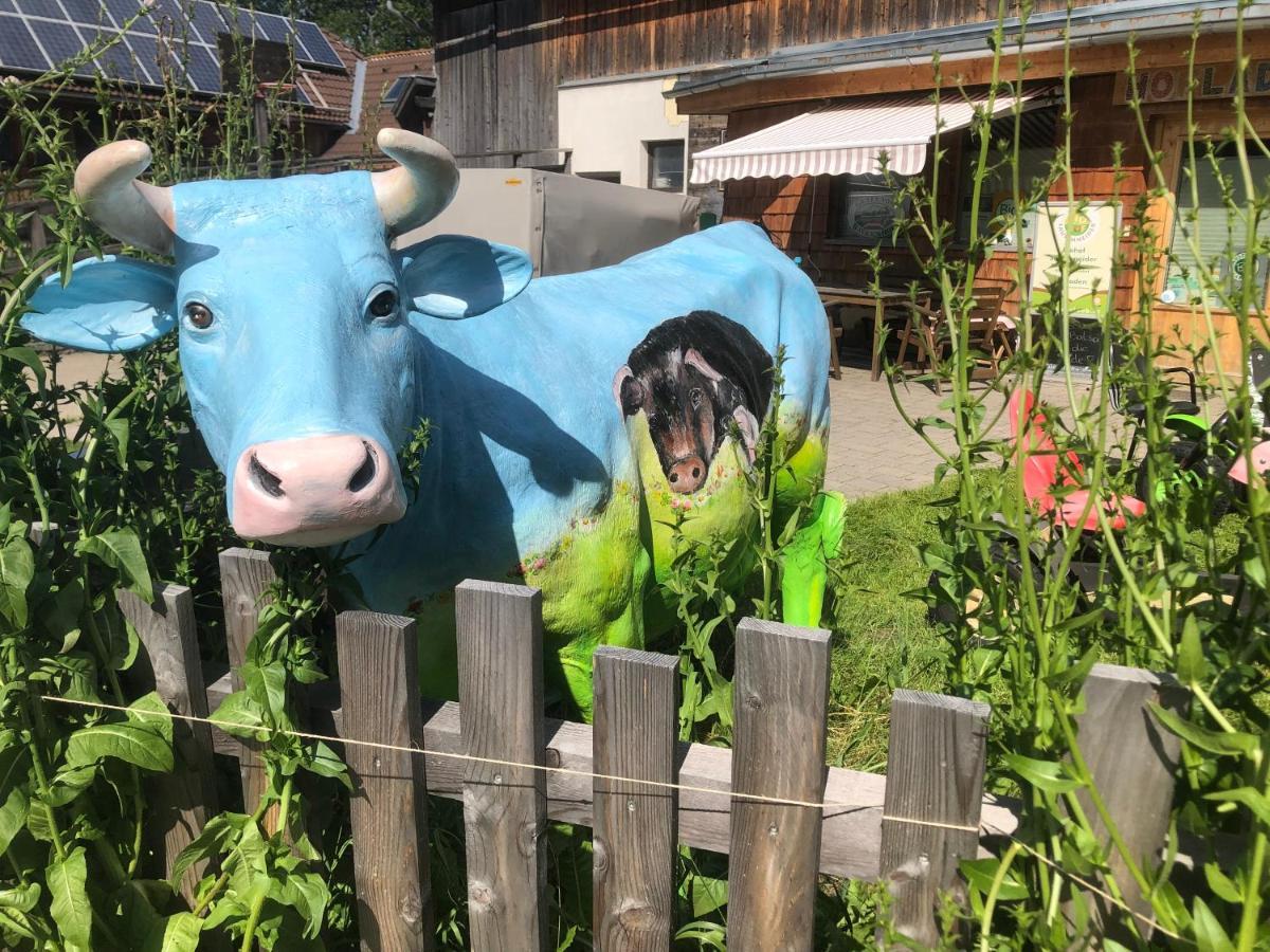 Biohof Sauschneider Lägenhet Sankt Margarethen im Lungau Exteriör bild