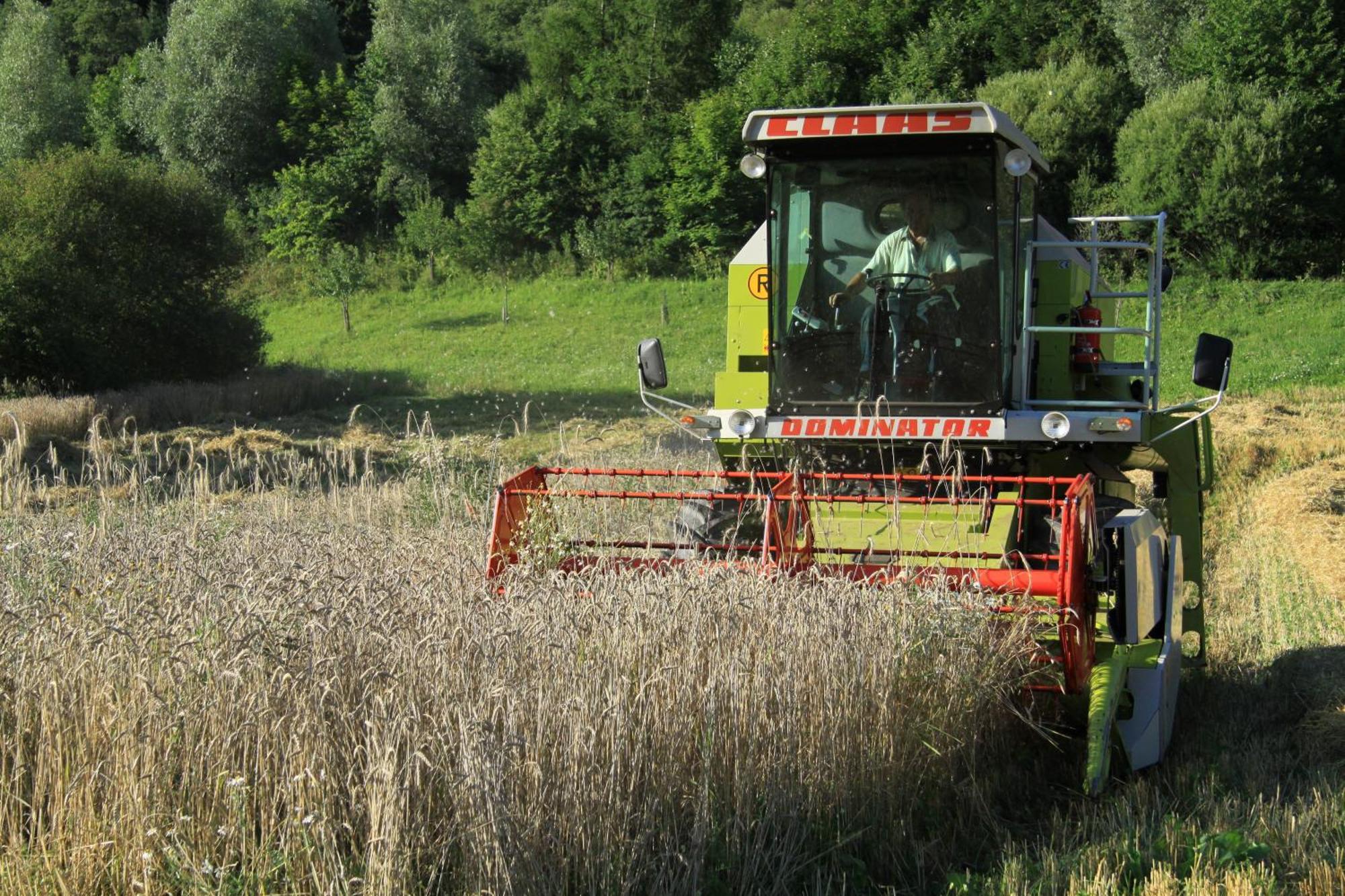 Biohof Sauschneider Lägenhet Sankt Margarethen im Lungau Exteriör bild