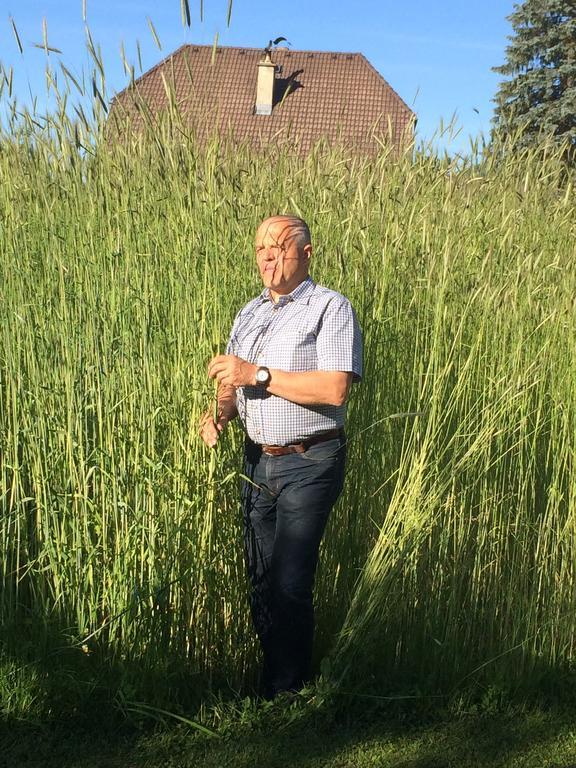 Biohof Sauschneider Lägenhet Sankt Margarethen im Lungau Exteriör bild